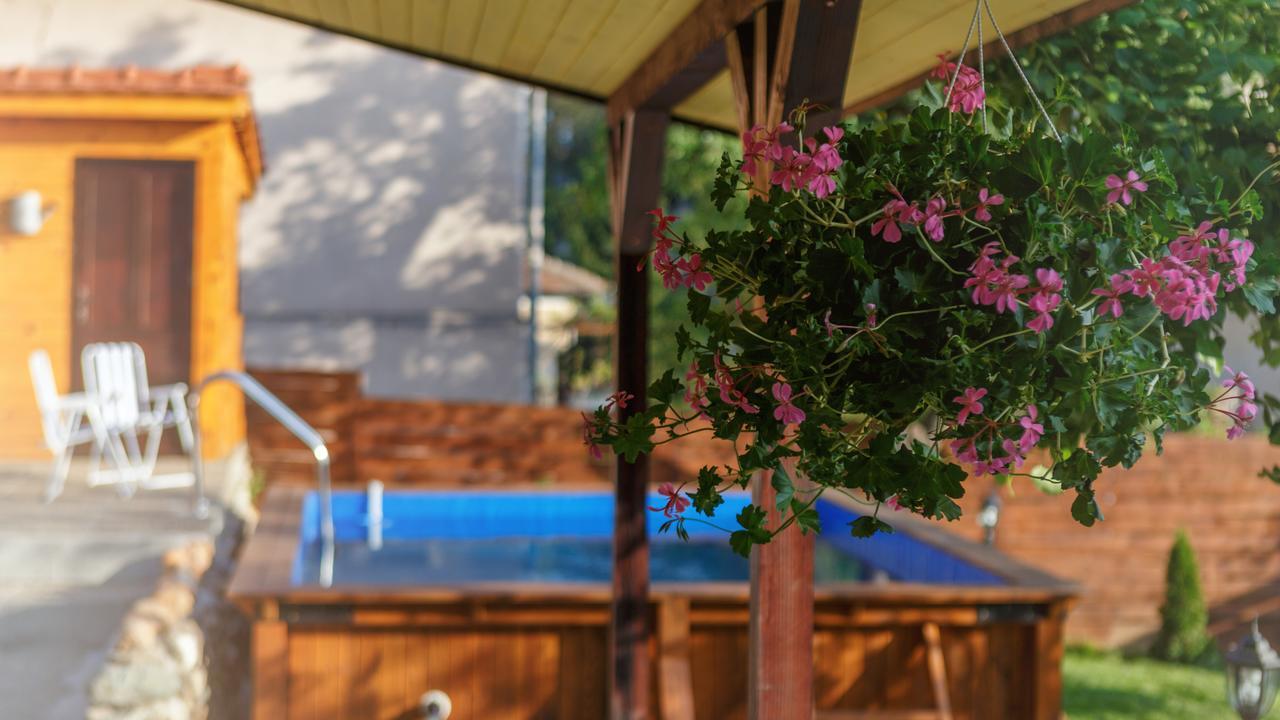 Villa Rose ベログラドチク エクステリア 写真